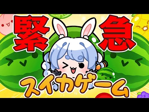 【緊急】【スイカゲーム】やばいやばいやばいやばいやばいやばいやばい【ホロライブ/兎田ぺこら】【ヤバい】